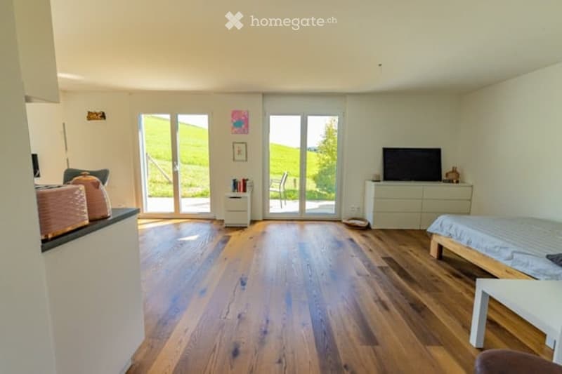 Open-plan living and sleeping area with wooden flooring, large glass doors leading to a scenic outdoor view, a sofa, a table, a chair, a bed, a television, and a cabinet.
