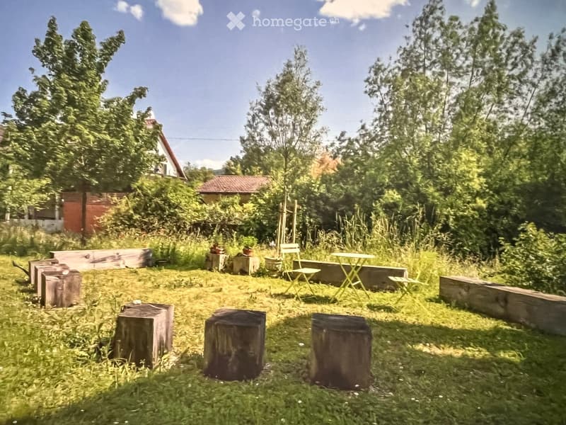 A lush garden area with wooden benches, tree stumps, and a small table and chairs, surrounded by greenery and trees.