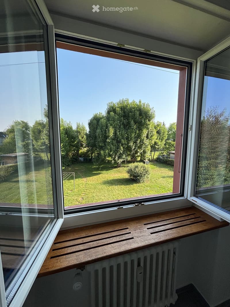 Large window, white frames, wooden windowsill, white radiator, glass windows, green outdoor view, clear blue sky