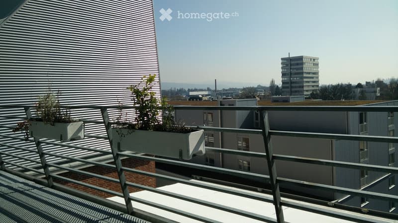 Balcony with metal railing, two planters with greenery, overlooking a cityscape with modern buildings and distant hills.
