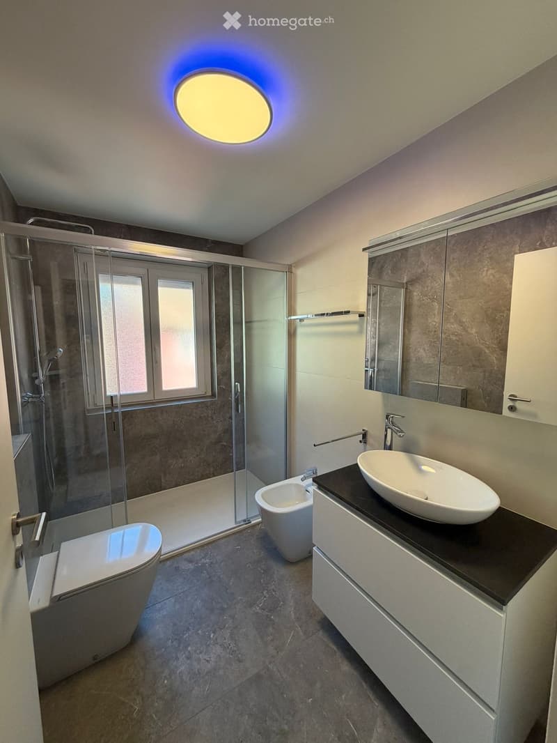 Modern bathroom with a large round ceiling light, a glass-enclosed shower, a sink with a modern faucet, a toilet, and a bidet.