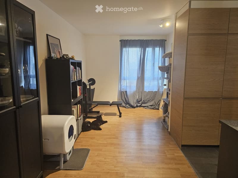 A well-lit room with wooden flooring, featuring a cat litter box, a cat tree, a bookshelf, an exercise bike, and a cat resting on the floor.