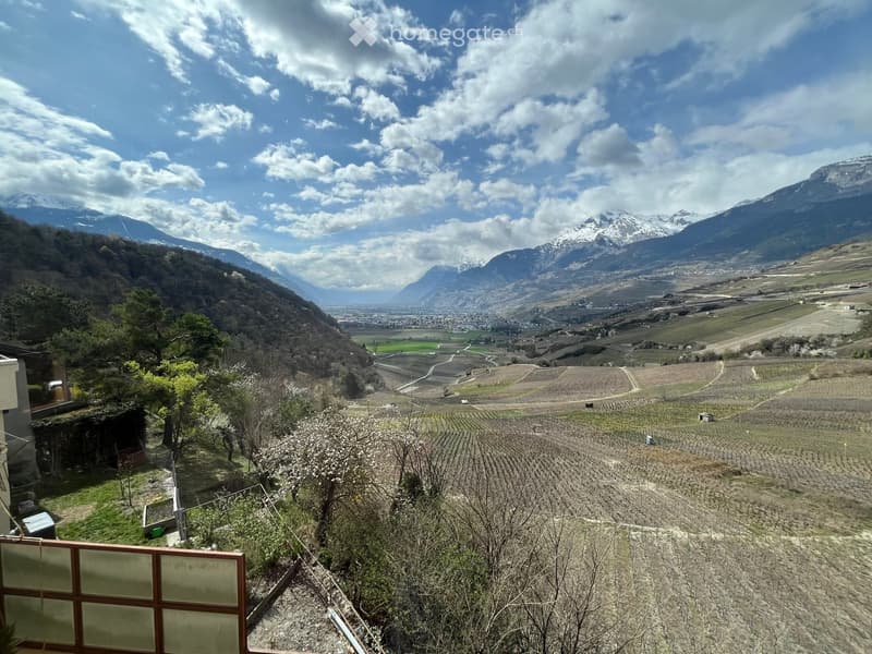 A panoramic view of a valley with vineyards, mountains, and a town in the distance under a partly cloudy sky.