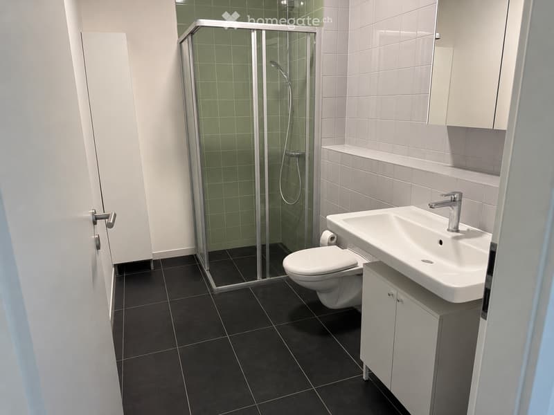 Modern bathroom with black tiled floor, white tiled walls, a white toilet, a white sink with a modern faucet, a glass-enclosed shower with green tiles, and a white cabinet under the sink.