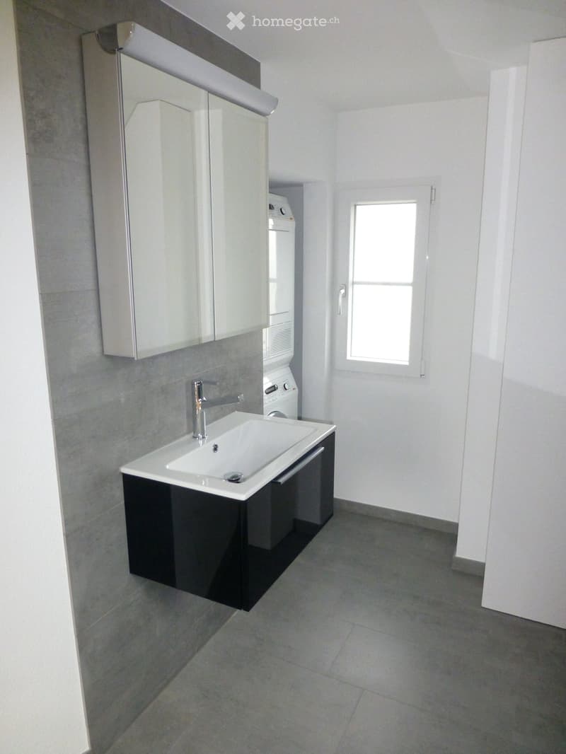 Modern bathroom with a white sink, chrome faucet, large mirror, dark cabinet, and a washing machine in the corner.