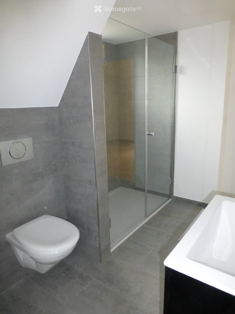 Modern bathroom with grey tiled walls and floor, white toilet, white sink, and a glass-enclosed shower area.