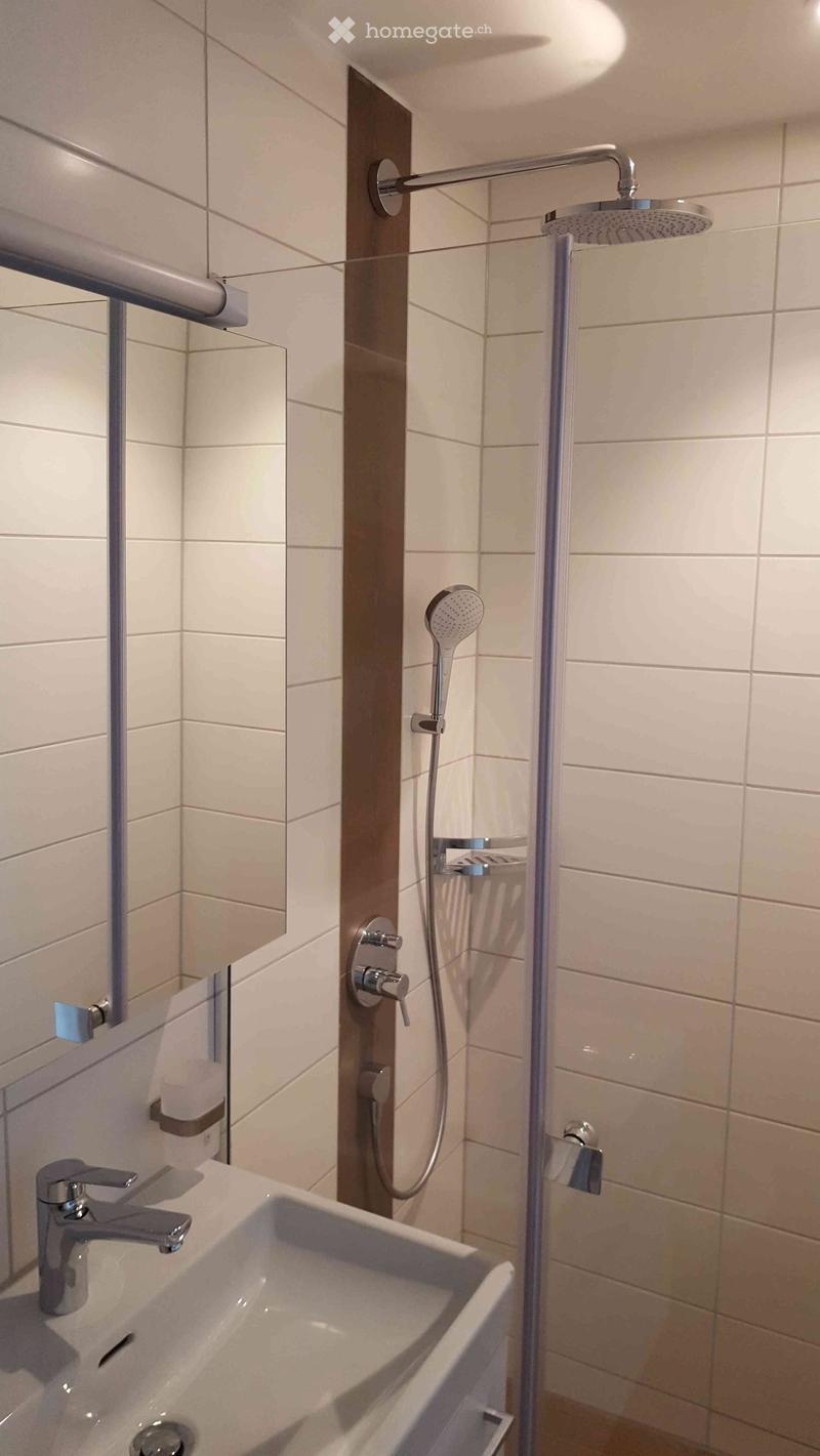 modern white tiles, glass shower door, silver fixtures, silver faucet, silver mirror, no visible additional features