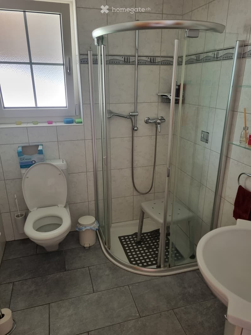 Bathroom with a toilet, sink, and walk-in shower with glass enclosure. Includes a toilet paper holder, trash bin, and towel on a rack.