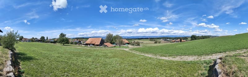 A peaceful rural landscape with green fields, scattered trees, and a few houses in the distance under a clear blue sky.