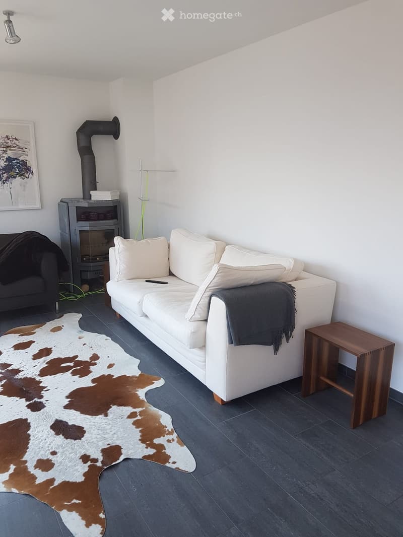 Modern living room with a white sofa, a cowhide rug, a wooden stool, and a fireplace with a black chimney pipe.