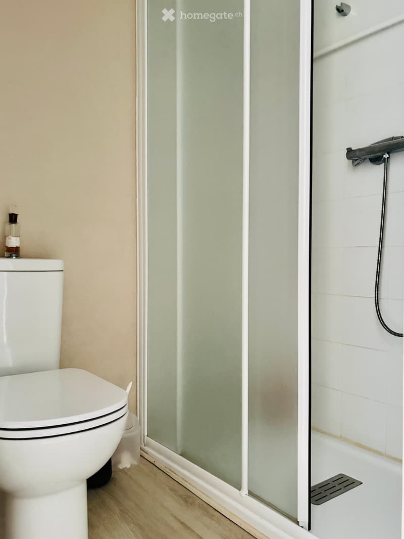 Modern bathroom with a white toilet, glass shower enclosure, and a small bottle on the toilet tank.
