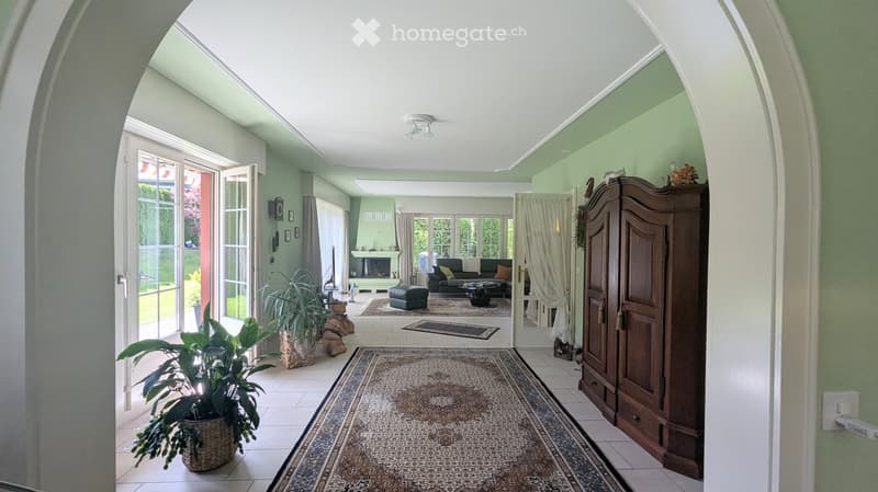 Spacious living room with light green walls, large windows, and a fireplace. Features a patterned rug, a large wooden cabinet, a sofa with cushions, a coffee table, and several potted plants.