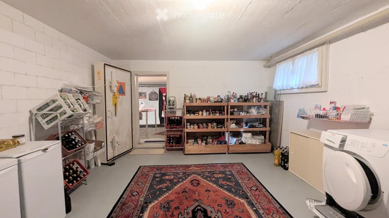 A small, furnished room with exposed brick walls, shelves filled with various items, a refrigerator, a washing machine, and a patterned rug on the floor.