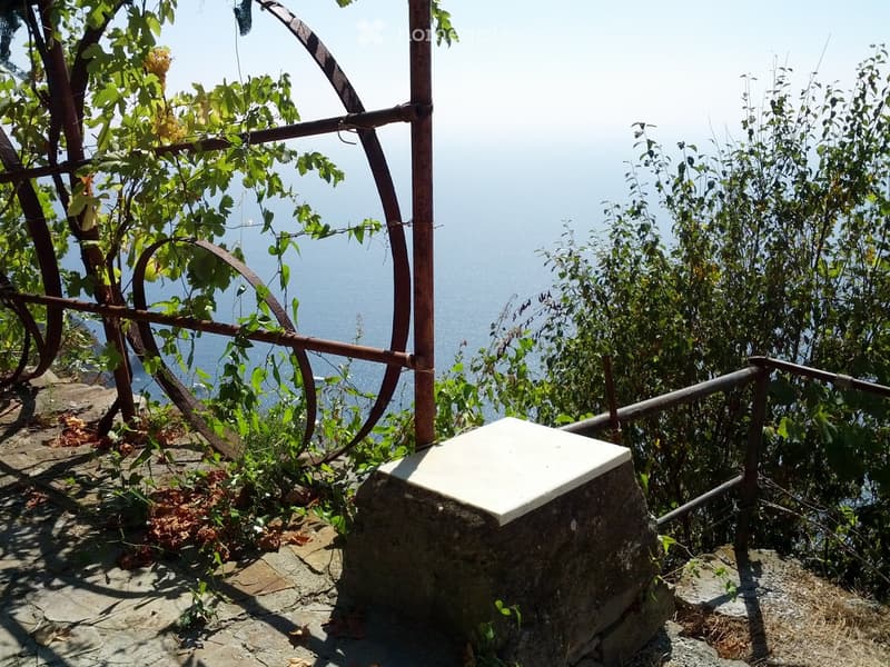 A scenic outdoor area with a metal railing, stone steps, and lush greenery overlooking a body of water.
