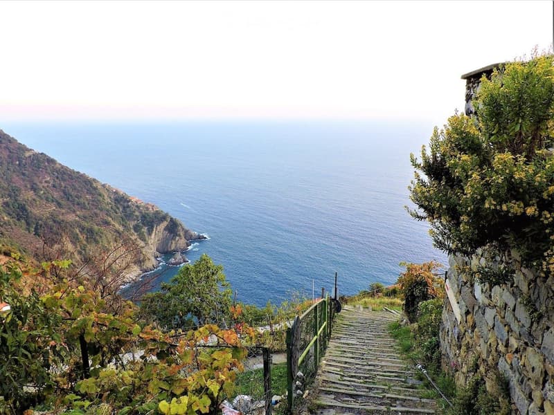 A scenic coastal view with a stone staircase leading down to the sea, surrounded by greenery and cliffs.