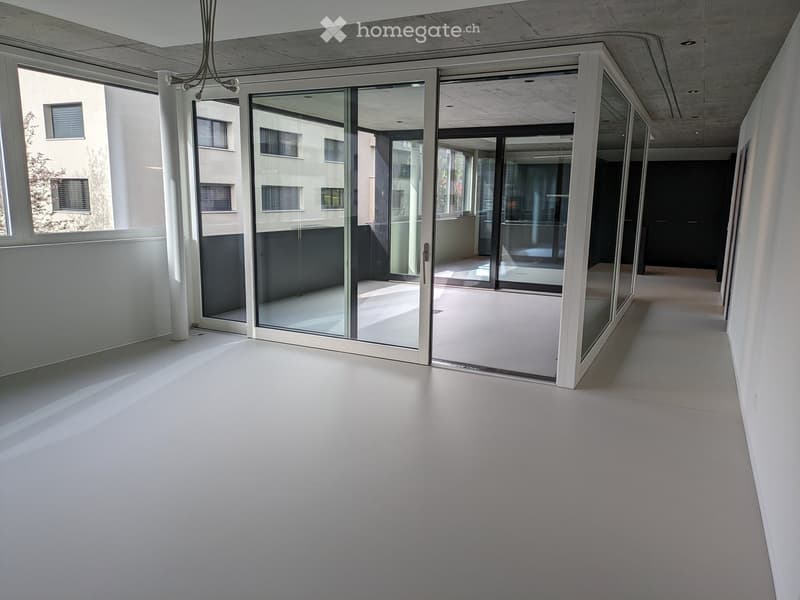 Modern, minimalist hallway with white walls, polished concrete floor, large glass sliding doors leading to a balcony area, and visible exterior building windows.