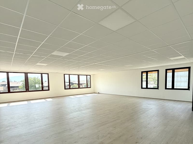 Empty room with light-colored walls, wooden flooring, and large windows allowing natural light to enter.