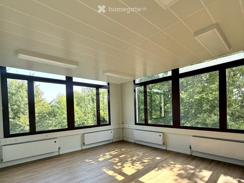 Bright, empty room with large windows, wooden flooring, and white walls. Natural light floods the space, creating a clean and minimalist atmosphere.