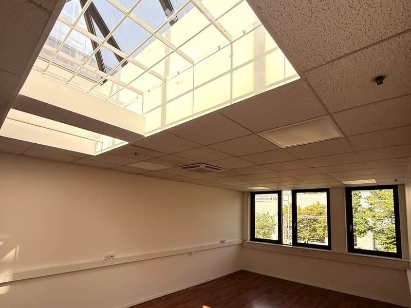 Empty room with wooden flooring, white walls, large windows, and a skylight ceiling allowing natural light.