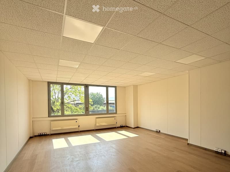 Empty room with light-colored walls, wooden flooring, large windows, and radiators along the wall.