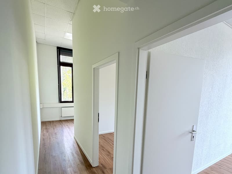 Empty hallway with light green walls, wooden flooring, and white doors leading to adjacent rooms. A window with blinds is visible on the left side.