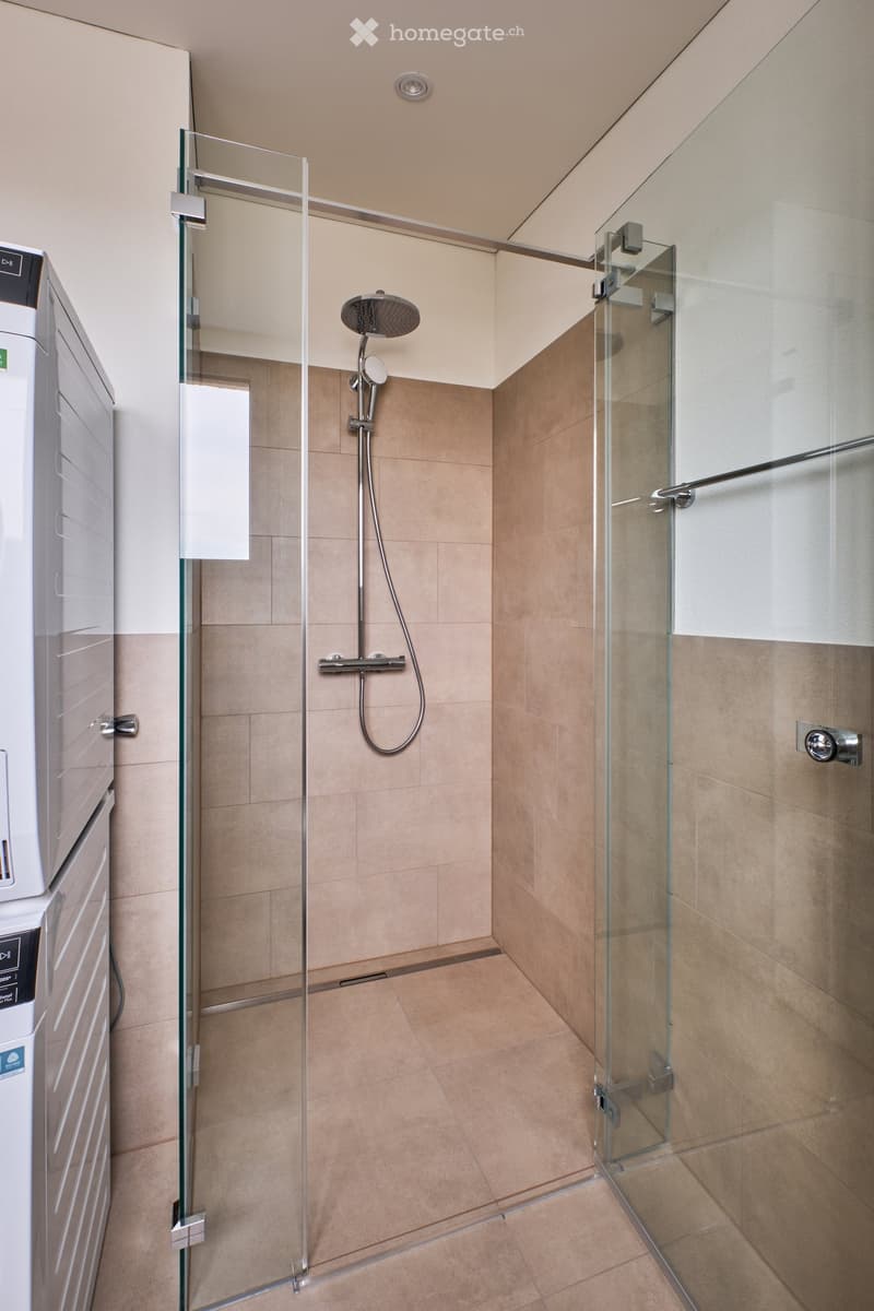 Modern bathroom with a glass-enclosed shower, a handheld showerhead, and a private washing machine visible to the left.