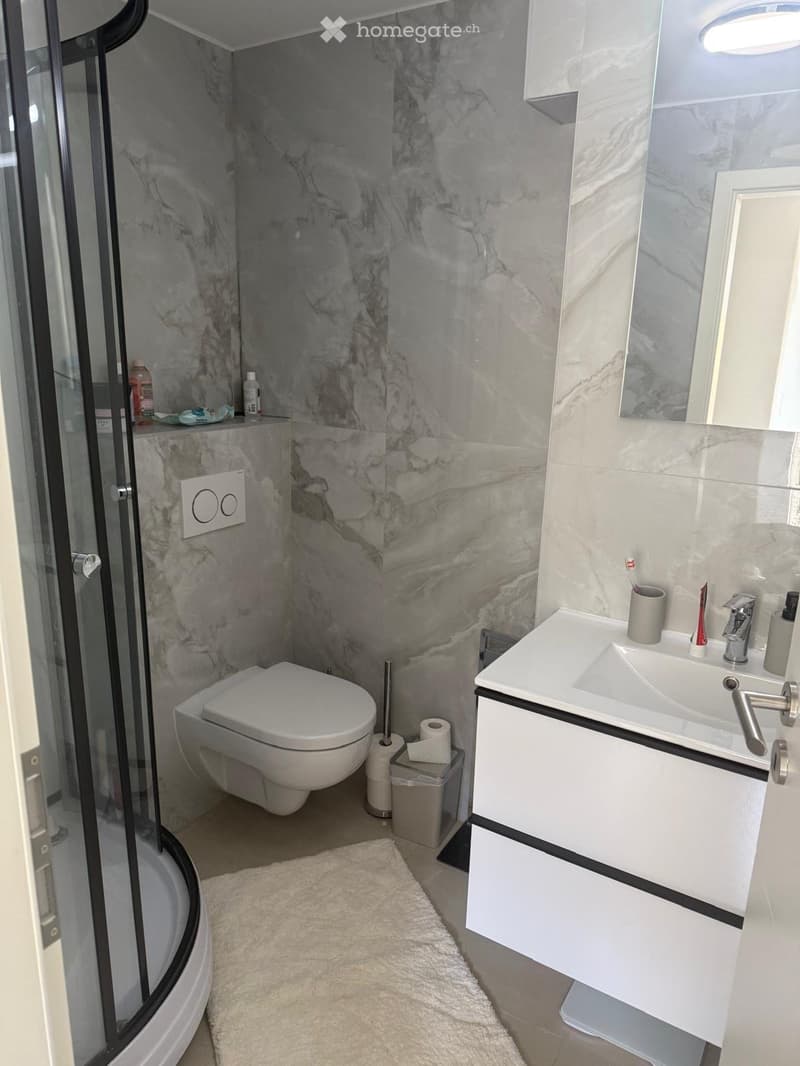 Modern bathroom with marble walls, a white toilet, a white sink with a mirror, and a glass-enclosed shower. Includes a toothbrush holder, toothpaste, and a small trash bin.