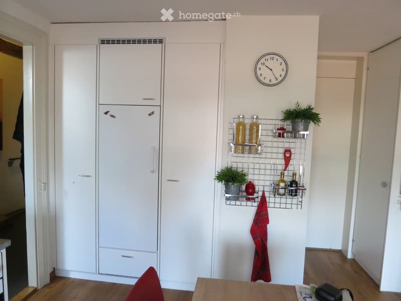 Modern kitchen with white cabinets, a stainless steel wire basket holding bottles and a potted plant, a red towel hanging, and a round clock on the wall.
