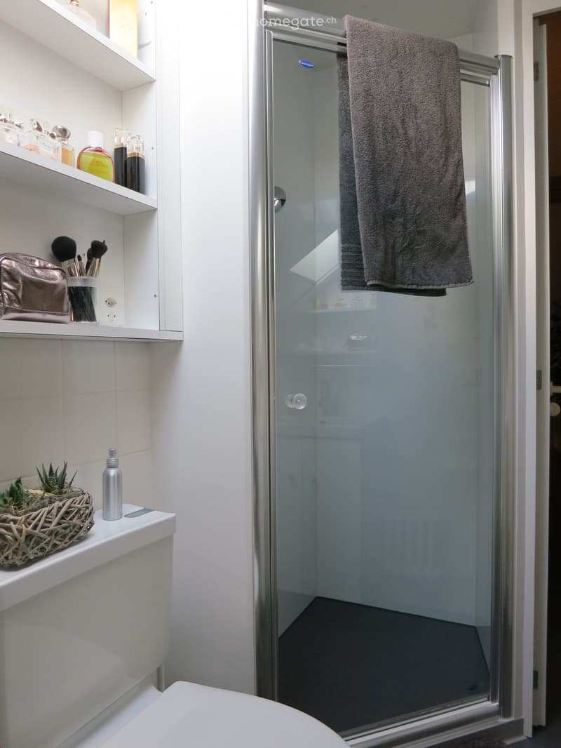 Modern bathroom with a toilet, glass-enclosed shower, and a towel hanging on the door. Shelves hold various toiletries, a basket with plants, and a bottle on the counter.