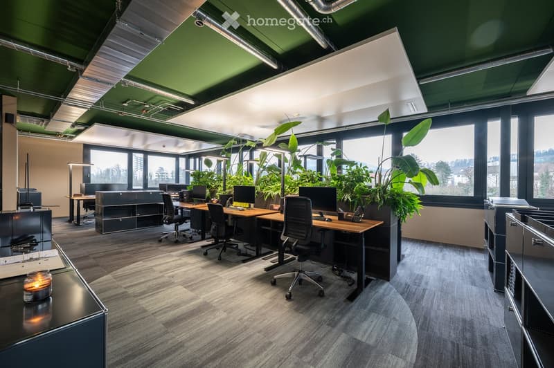 Modern office space with desks, chairs, computers, large windows, and indoor plants.