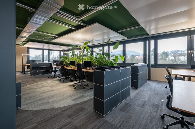 Modern office space with desks, chairs, computers, and large windows offering a scenic view. Features include grey carpeting, grey cabinets, and indoor plants.