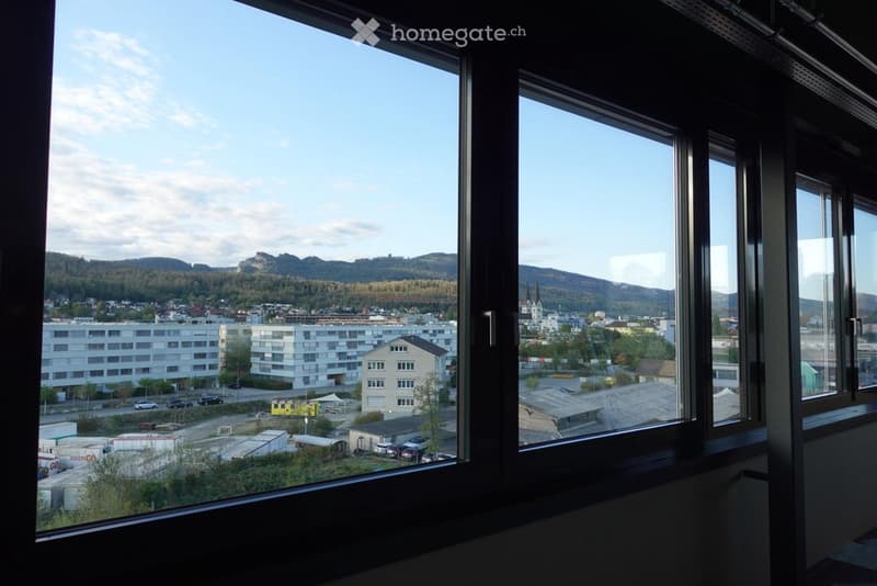 View from a room with large windows showing a cityscape, buildings, and distant mountains.