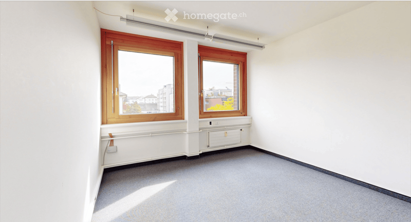 Empty room with white walls, grey carpet, two wooden-framed windows, radiator, and fluorescent lighting fixture.
