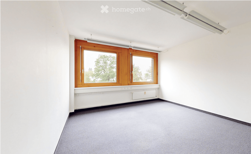 Empty room with white walls, grey carpet, large windows with wooden frames, and a radiator below the windows.