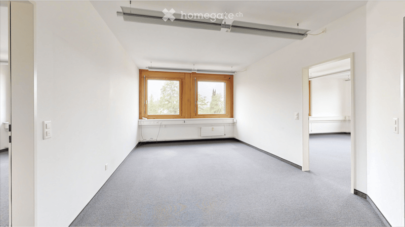 Empty room with white walls, grey carpeted floor, large windows with wooden frames, and fluorescent lighting fixtures on the ceiling.