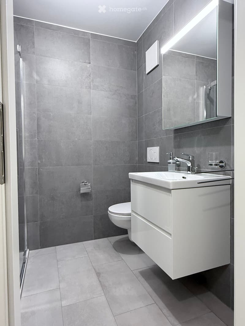 Modern bathroom with grey tiled walls and floor, white sink with chrome faucet, large mirror, toilet, and glass-enclosed shower area.