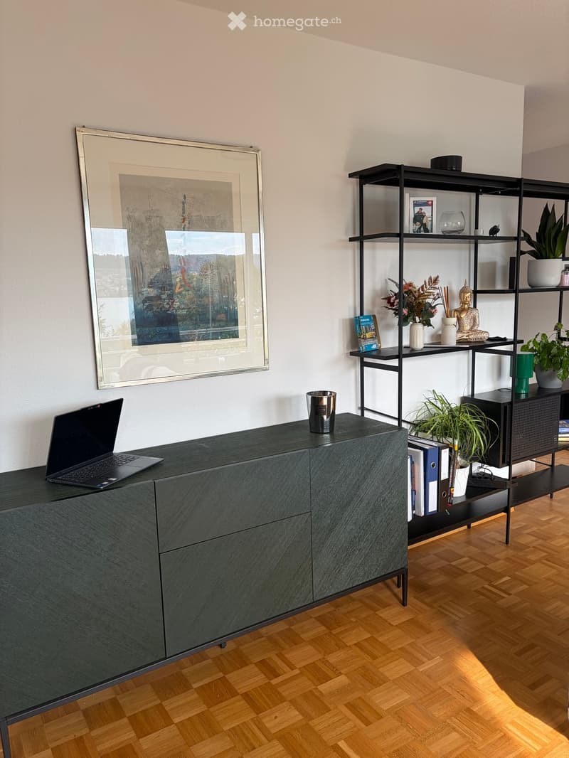 A modern, minimalist room with a dark grey cabinet, a laptop, a large picture frame, a black shelving unit with books, plants, and decorative items, and a polished wooden floor.