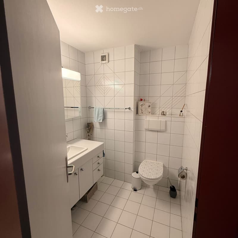 Appartement lumineux de 4.5 pièces avec vue à Lamboing (16)