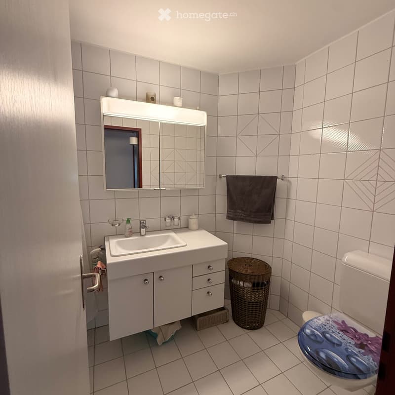 Appartement lumineux de 4.5 pièces avec vue à Lamboing (14)