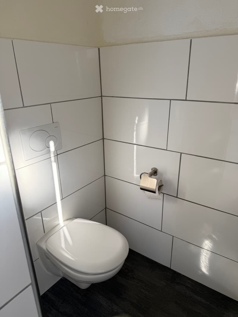 Modern bathroom with white tiled walls, a toilet, and a toilet paper holder mounted on the wall.