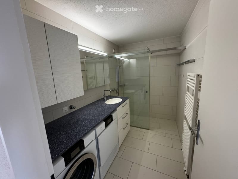 Modern bathroom with a sink, mirror, shower, radiator, and washing machine. The space features tiled walls and floor, with built-in cabinets and a sleek design.