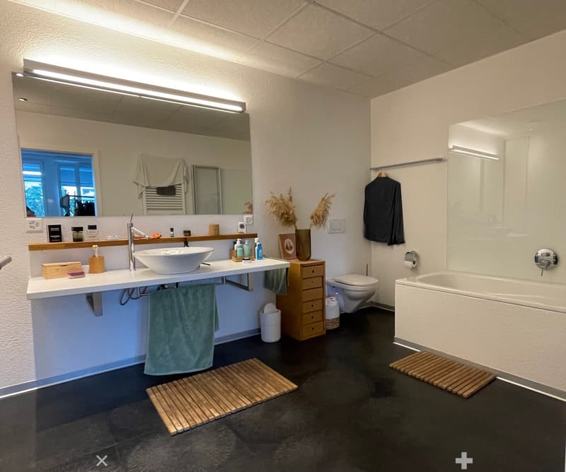 Modern bathroom with a double sink, large mirror, bathtub, toilet, and various bathroom accessories. Features include a wooden cabinet, decorative vases, and a coat hanging on the wall.