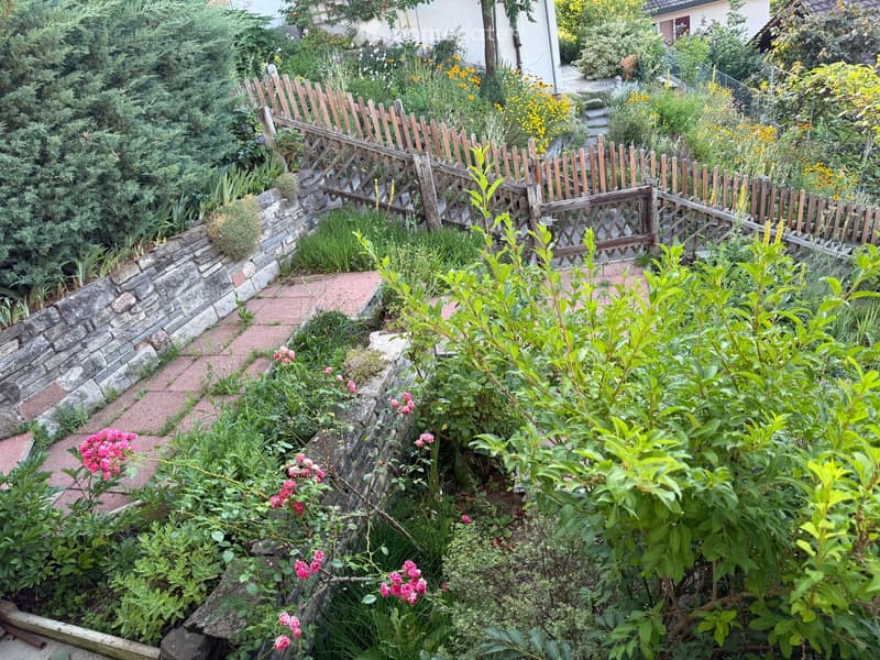 Garden with a wooden fence, stone wall, brick pathway, and various plants and flowers, including pink roses and yellow blooms.