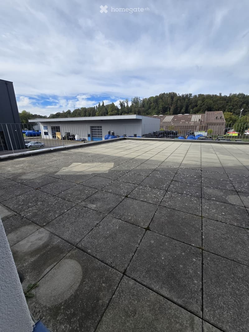 Roof terrace with concrete tiles, metal railing, and distant buildings and trees.