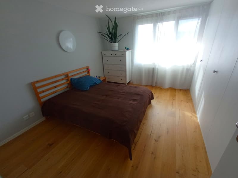 Cozy bedroom with wooden flooring, a single bed with a dark brown duvet and blue pillow, a nightstand, a white dresser with multiple drawers, and a potted plant on top.