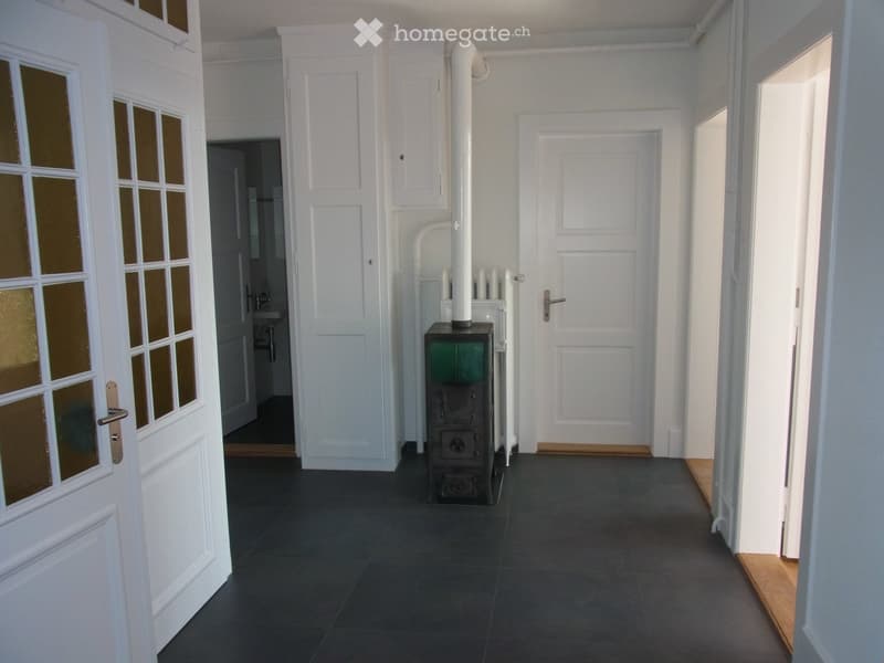 Empty hallway with dark tiled floor, white walls, multiple doors, and a visible wood-burning stove in the center.