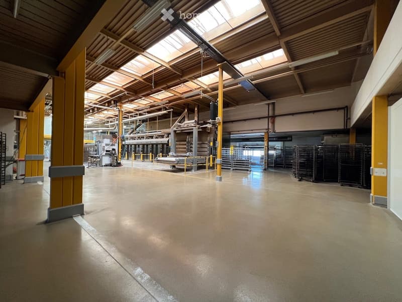 large open space, yellow columns, high ceilings, skylights, white flooring, equipment and machinery present