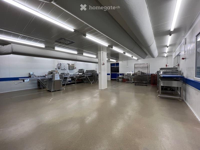 Empty large space with fluorescent ceiling lights, industrial machines, stainless steel carts, windows, blue trims
