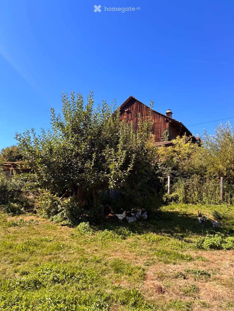 A rural garden area with a wooden barn, lush greenery, and several chickens roaming around.