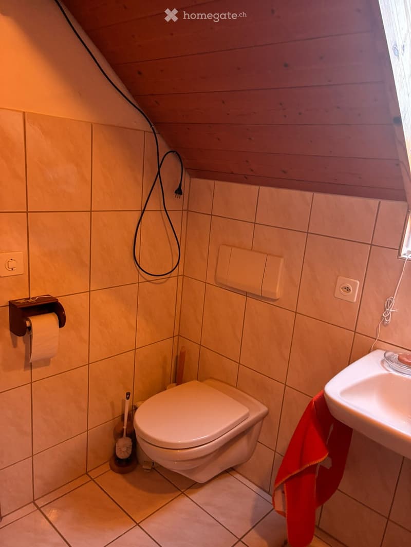 Small bathroom with tiled walls and wooden ceiling, featuring a toilet, sink with a red towel, toilet paper holder, and a toilet brush holder.